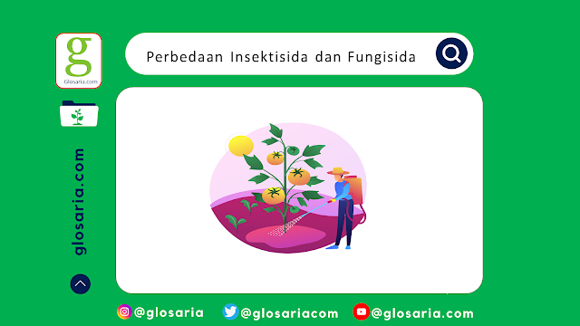 PERBEDAAN INISEKTISIDA DAN FUNGISIDA